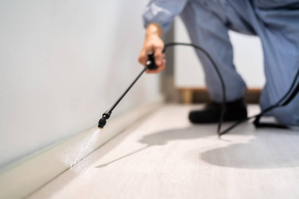 Licensed Pest Control service in Coos County County, OR - Nex Pest Control