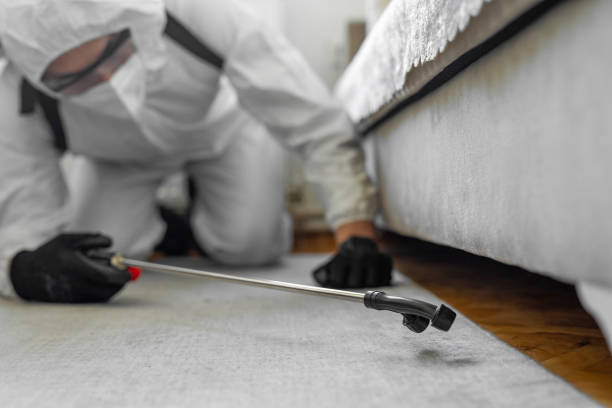 Professional Pest Control technician working in Coos County County, OR